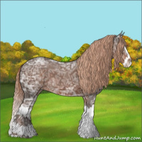 Horse Color:Liver Chestnut Ice Sabino Splash 