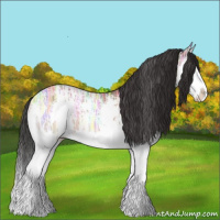 Horse Color:Brown Ice Sabino Splash Rabicano 