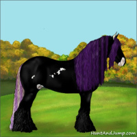 Horse Color:Painted Red Dun Ice Sabino Splash Varnish 