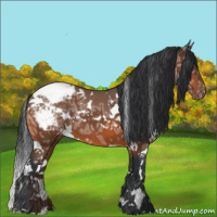 Horse Color:White Spotted Bay Ice Snowcap 