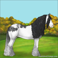Horse Color:Black Ice Sabino Splash Appaloosa 