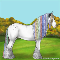 Horse Color:Painted Black Splash Tobiano Appaloosa 
