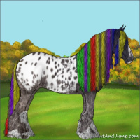 Horse Color:Painted Grullo Ice Sabino Blanket 