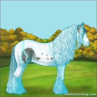 Horse Color:Thunderstruck Bay Ice Dun Splash Tobiano Varnish 