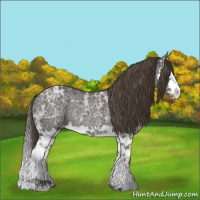 Horse Color:Smoky Black Ice Sabino Splash Appaloosa Rabicano 