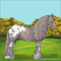 Horse Color:Silver Black Ice Blanket