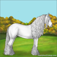 Horse Color:Gray Grullo Ice Sabino Splash Appaloosa