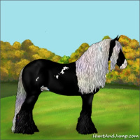 Horse Color:Nacre Bay Ice Sabino Splash Tobiano Appaloosa 