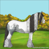 Horse Color:Grullo Ice Sabino Tobiano Snowcap Rabicano 