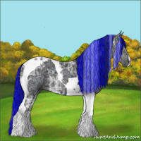Horse Color:Painted Black Ice Tobiano