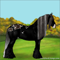 Horse Color:White Spotted Bay Ice Splash 