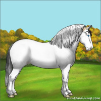 Horse Color:Bay Ice Dun Splash Tobiano 