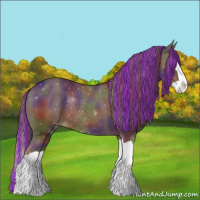Horse Color:Painted Nacre Liver Chestnut Splash Appaloosa Rabicano 