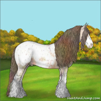 Horse Color:Nacre Bay Ice Dun Sabino Blanket 