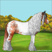 Horse Color:Bay Tobiano