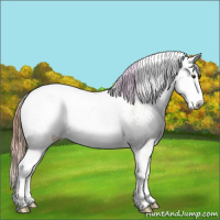 Horse Color:Red Dun Ice Sabino 