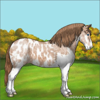 Horse Color:Chestnut Ice Splash Blanket 
