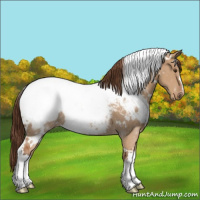 Horse Color:White Spotted Bay Dun Snowcap 