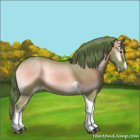 Horse Color:Watercolor Red Onyx Sabino Tobiano Varnish 