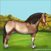 Horse Color:Bay Onyx Sabino Appaloosa 