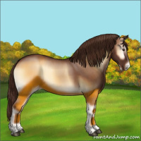Horse Color:Red Onyx Varnish 