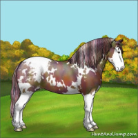 Horse Color:Painted Nacre White Spotted Brown Splash Snowcap 