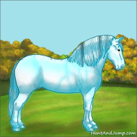 Horse Color:Thunderstruck Bay Ice Sabino Splash Blanket 