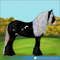 Horse Color:Nacre Black Ice Sabino Splash Snowcap 