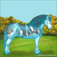 Horse Color:Thunderstruck Black Sabino Splash Varnish 