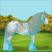 Horse Color:Thunderstruck Chestnut Ice Splash Appaloosa 