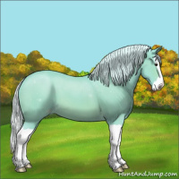 Horse Color:Watercolor Silver Bay Splash Appaloosa 