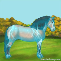 Horse Color:Thunderstruck Brown Dun Sabino Varnish 