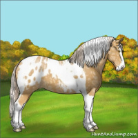 Horse Color:Palomino Ice Splash Tobiano Blanket 