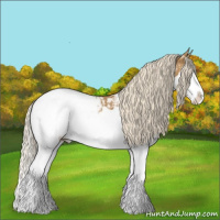 Horse Color:Palomino Ice Splash Appaloosa 