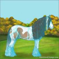 Horse Color:Thunderstruck Bay Dun Sabino Splash Tobiano Varnish 