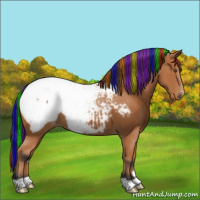 Horse Color:Painted Bay Near Fewspot 