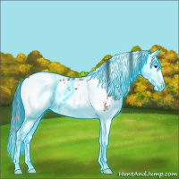 Horse Color:Thunderstruck Brown Ice Sabino Splash Blanket 