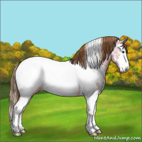 Horse Color:White Spotted Chestnut Ice Splash Near Fewspot 