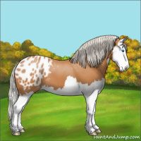 Horse Color:Silver Bay Splash Blanket 