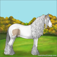 Horse Color:Bay Dun Splash Tobiano