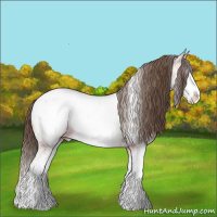 Horse Color:Bay Ice Dun Sabino Splash Appaloosa 