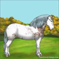 Horse Color:Painted Bay Ice Sabino Splash Appaloosa 