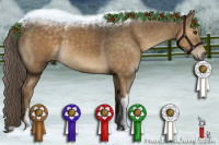 Horse Color:Chocolate Palomino 