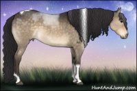 Horse Color:Buckskin Dun Tobiano