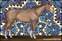 Horse Color:Red Roan Sabino Splash 