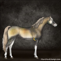 Horse Color:Chocolate Palomino Onyx Mushroom Tobiano Rabicano Brindle 