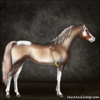 Horse Color:Liver Red Onyx Mushroom Sabino Tobiano Rabicano