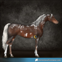 Horse Color:White Spotted Liver Chestnut Mushroom Tobiano 