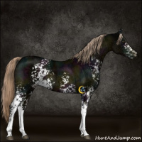 Horse Color:White Spotted Midnight Chocolate Palomino Ice 