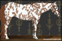 Horse Color:Red Roan Leopard 